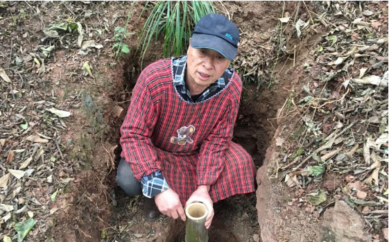 老人藏山里造古琴 似現實版掃地僧