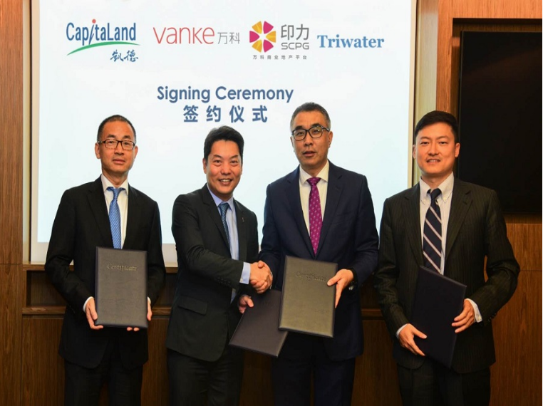 圖片來源于網絡